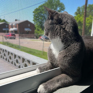 Meet your Posher, Simone